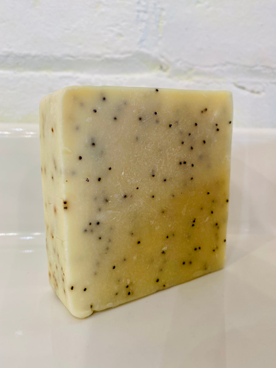 Big Bar Soap Mechanic's Soap My Secret Stash