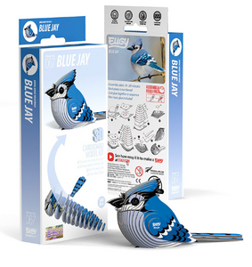 Eugy - Blue Jay