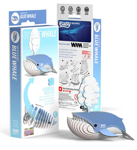 Eugy - Blue Whale