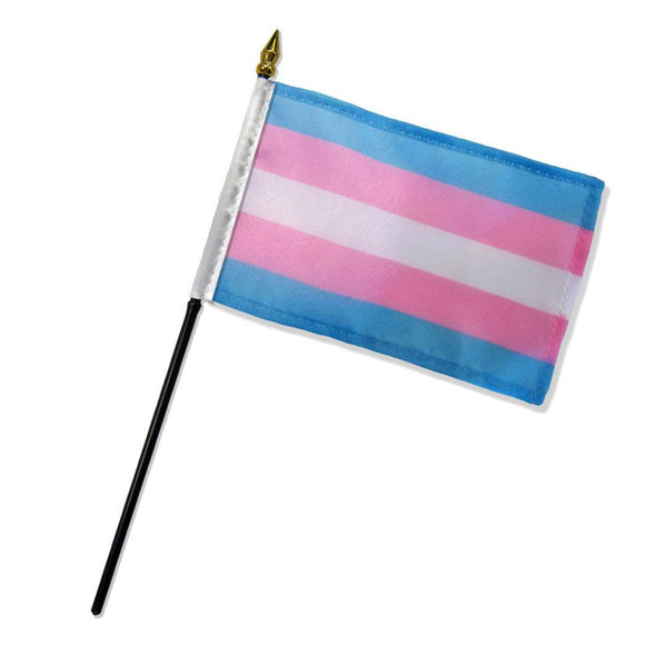 Mini Flag - Transgender